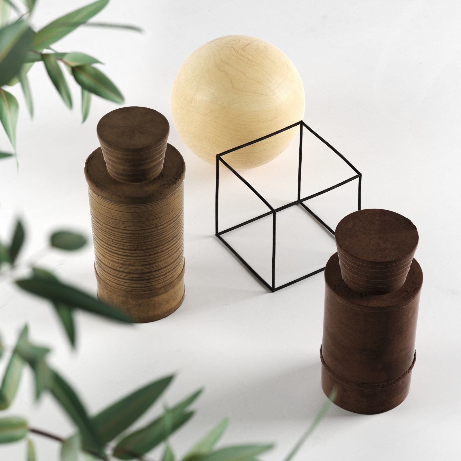 Eucalyptus with Decorative Objects 3D model_2