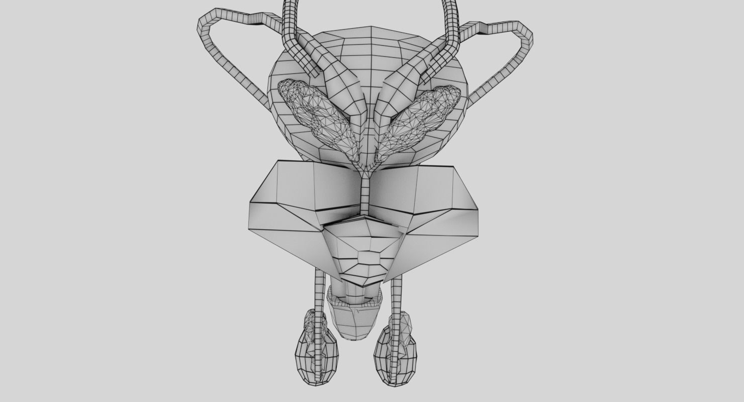 Genito-urinary tract male 3D model  3D model_24