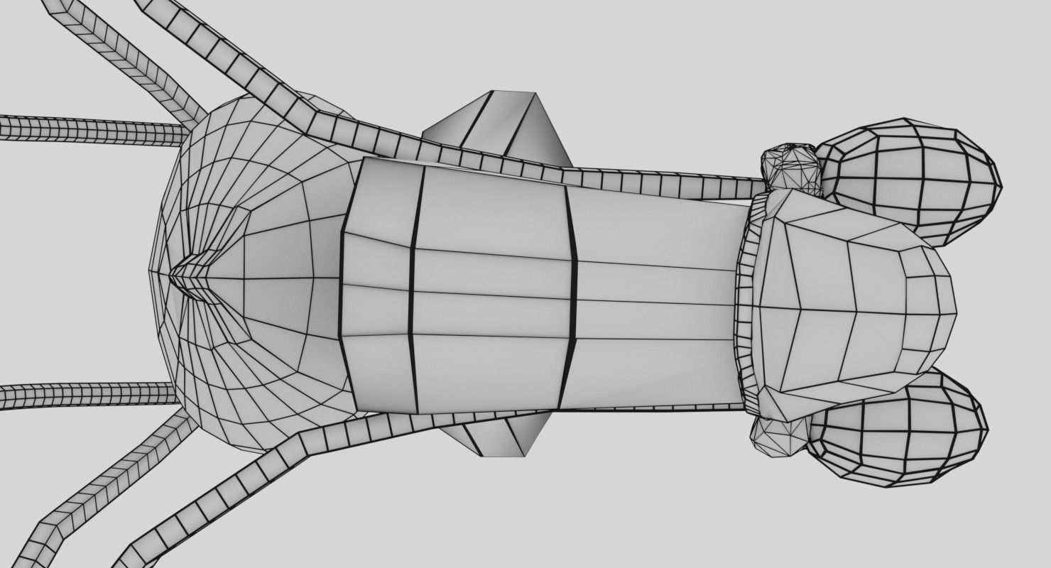 Genito-urinary tract male 3D model  3D model_20