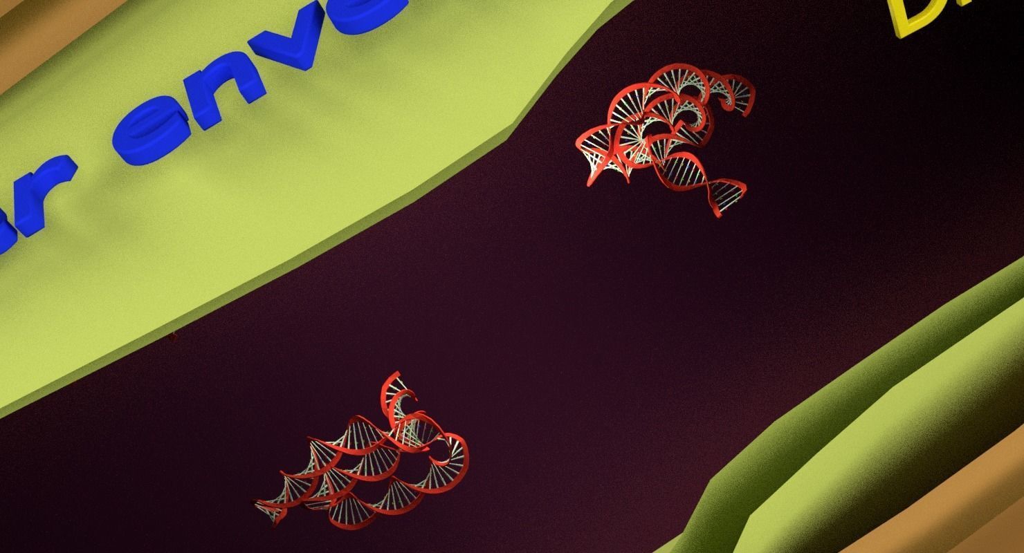 3D sperm spermatozoa 3D model_4