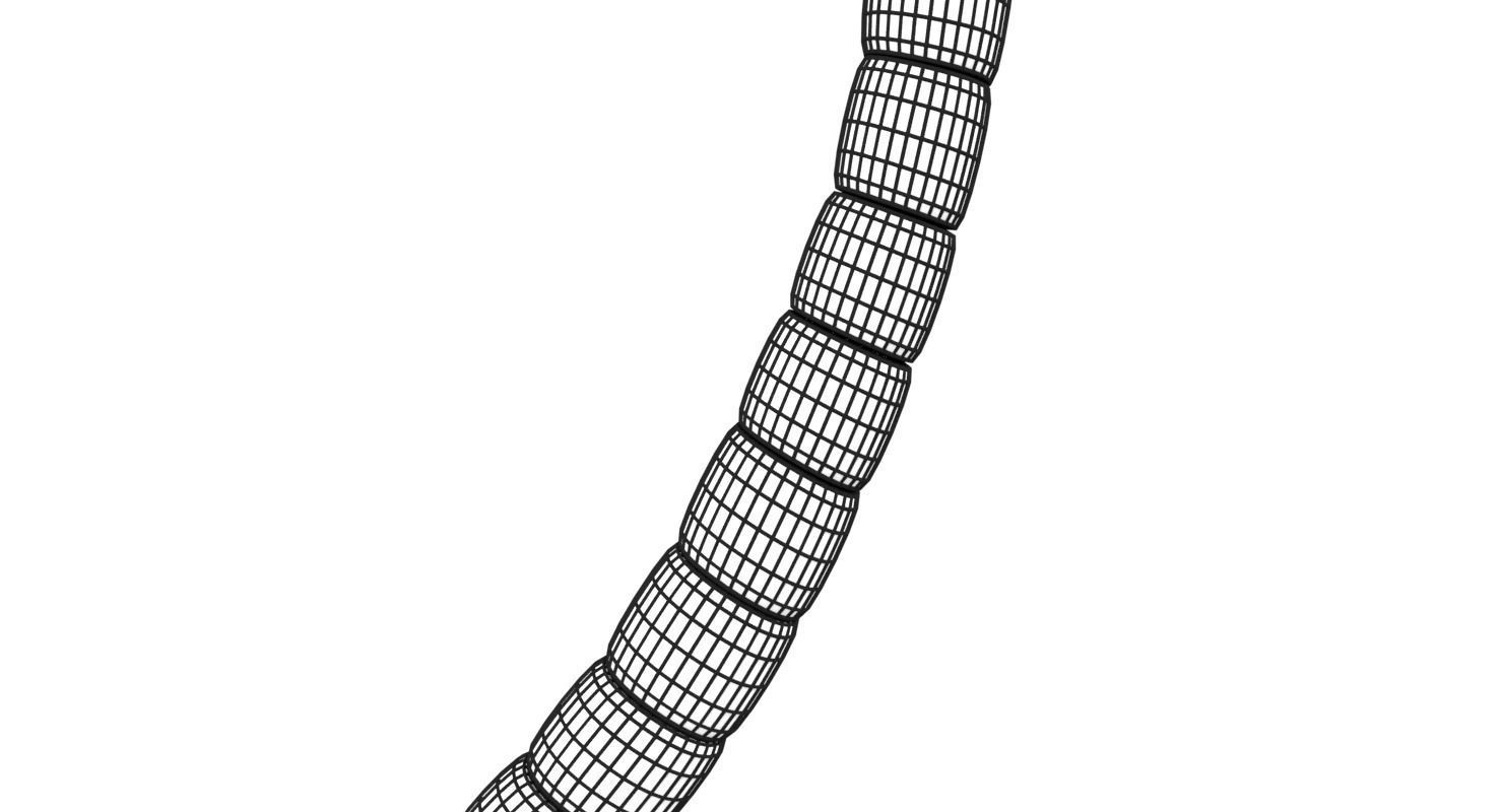 3D sperm spermatozoa 3D model_44