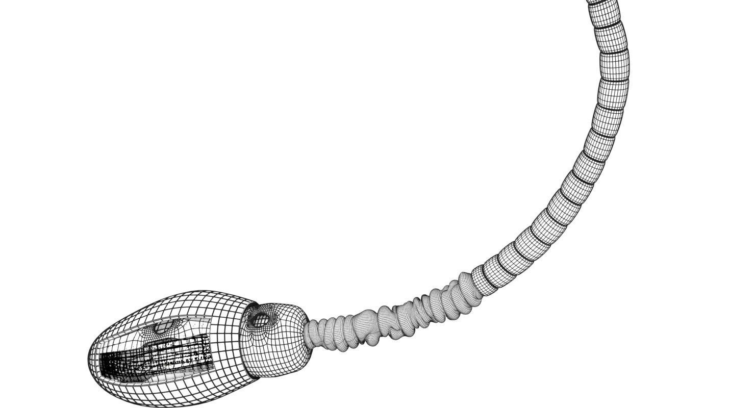 3D sperm spermatozoa 3D model_40
