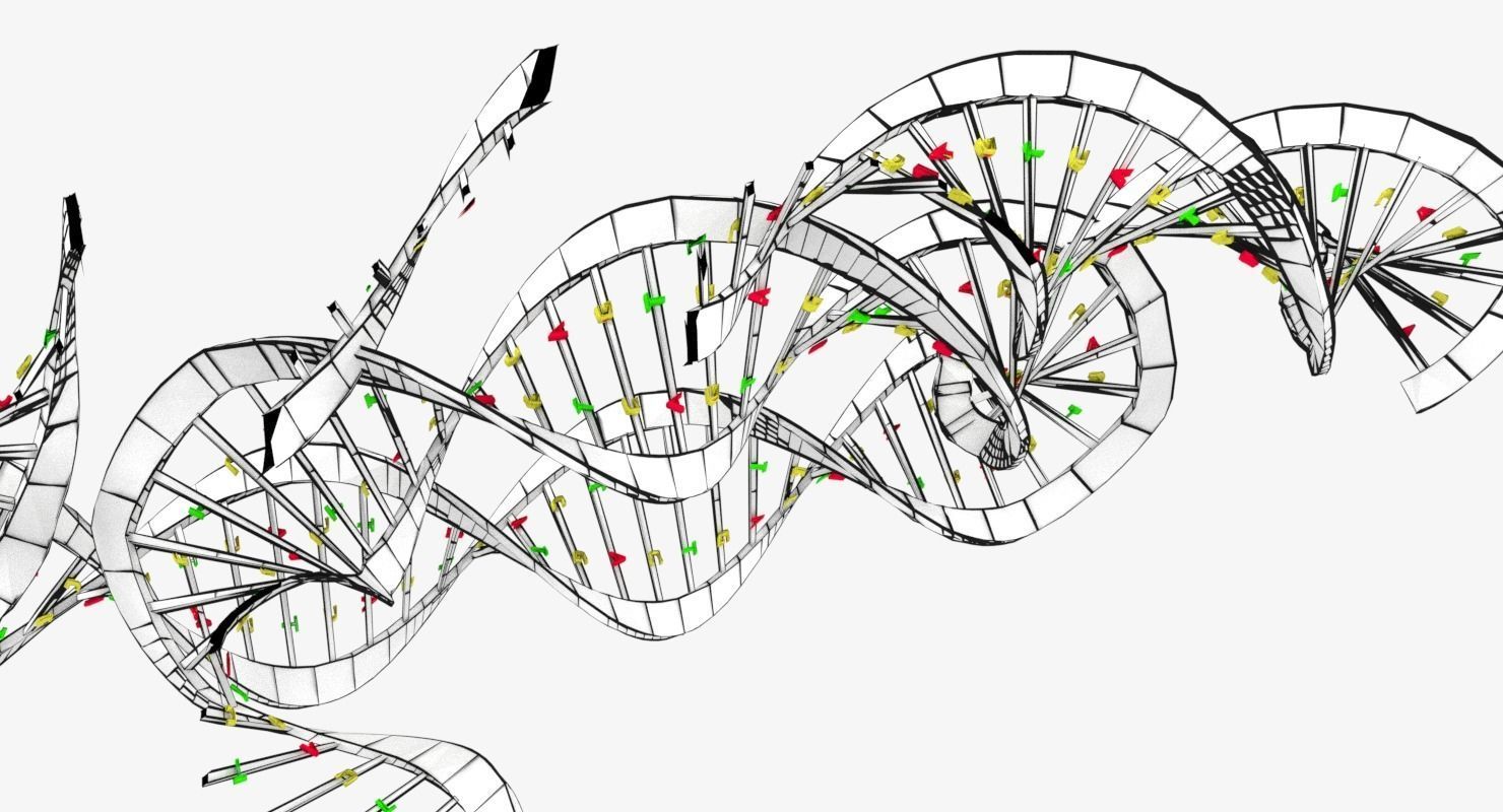 3D sperm spermatozoa 3D model_50