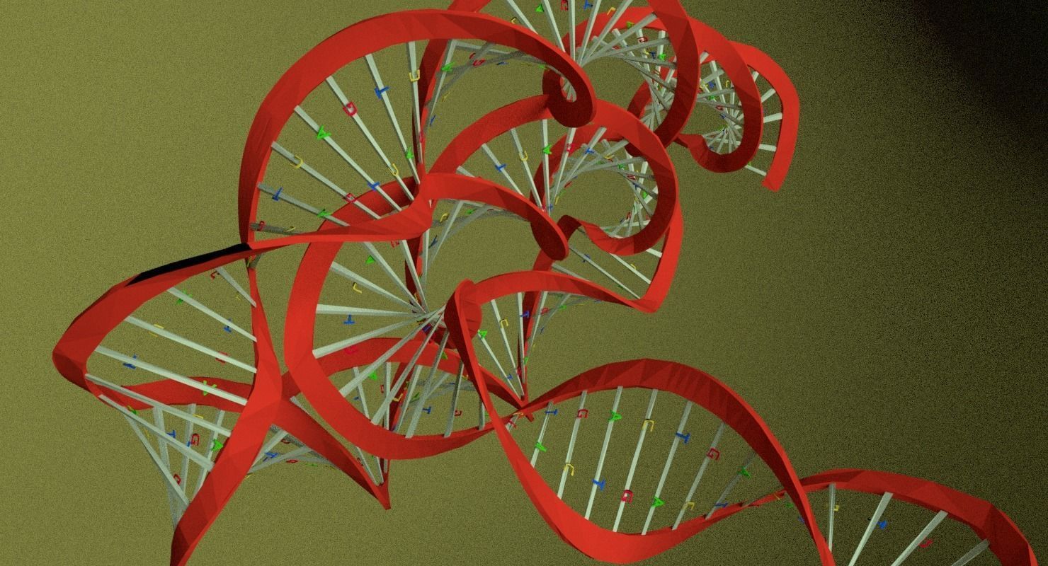 3D sperm spermatozoa 3D model_20