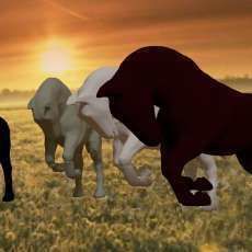 Frisian Horse 3D model_1