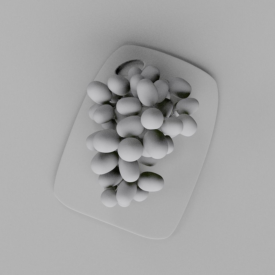 Green Grapes 3D model_4