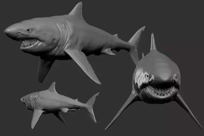 Great White Shark Low-poly 3D model