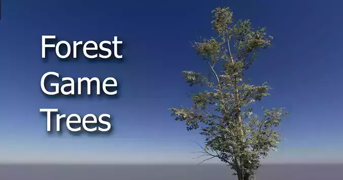  Forest Game Trees