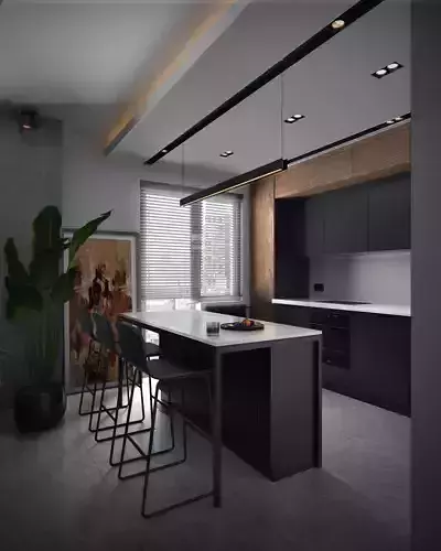 Black and wood modern kitchen   Vray settings 