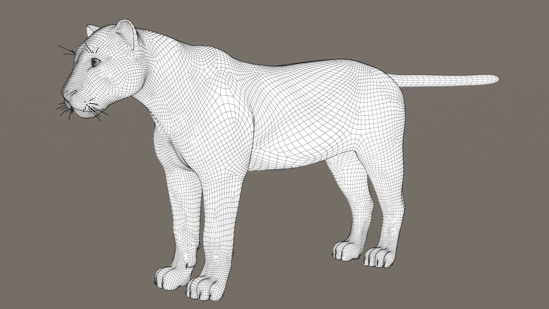 Leopard Fur model 3D model_15