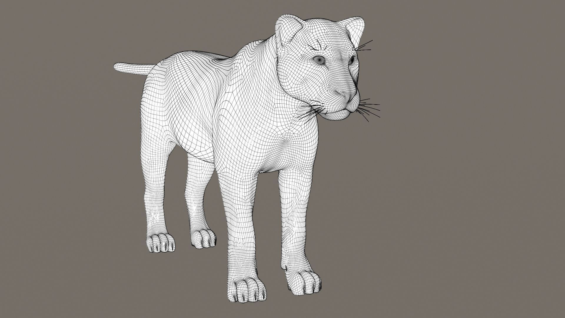 Leopard Fur model 3D model_13