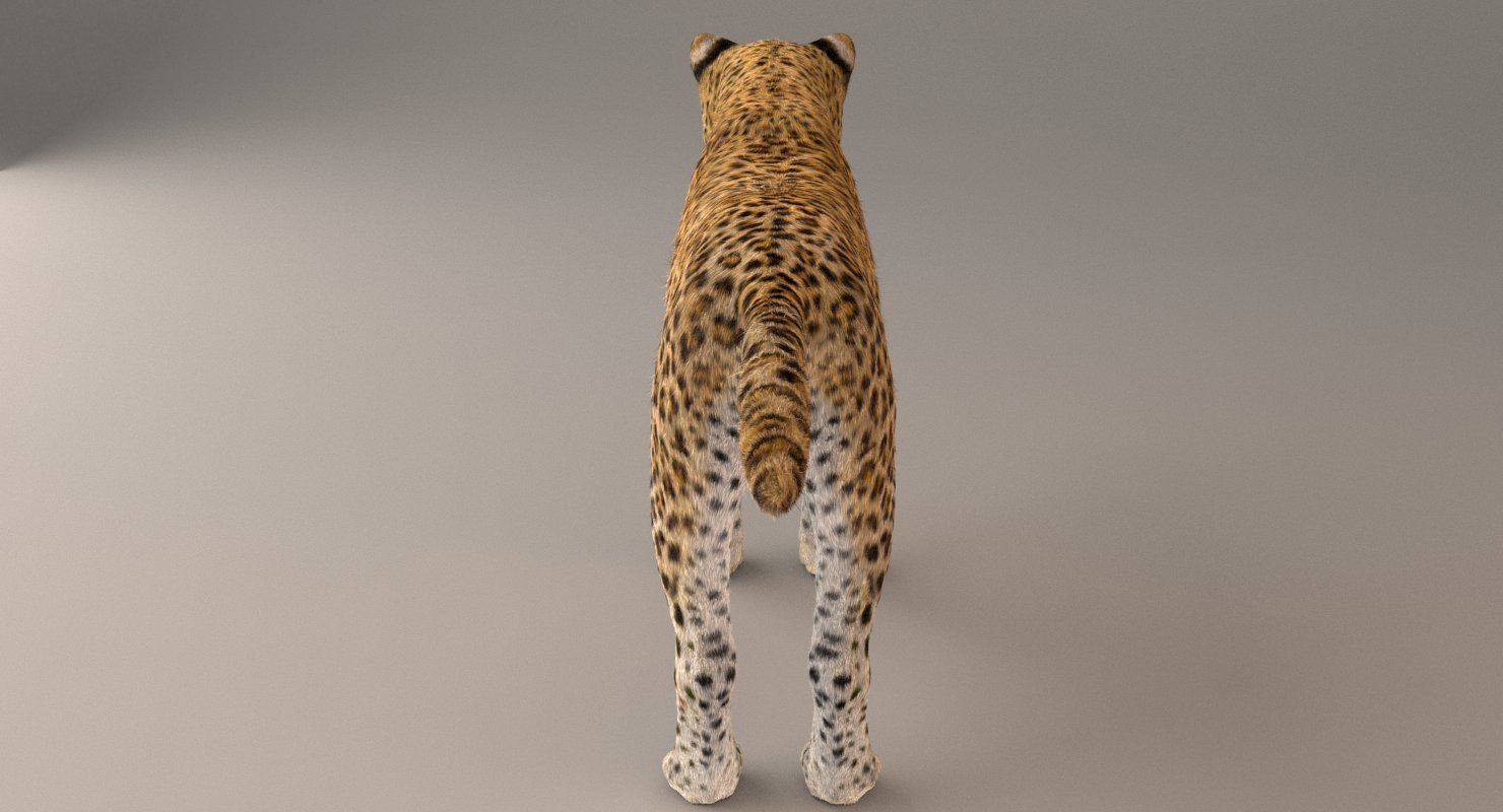 Leopard Fur model 3D model_2