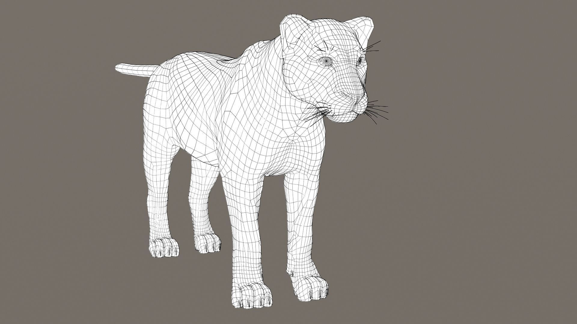 Leopard Fur model 3D model_12