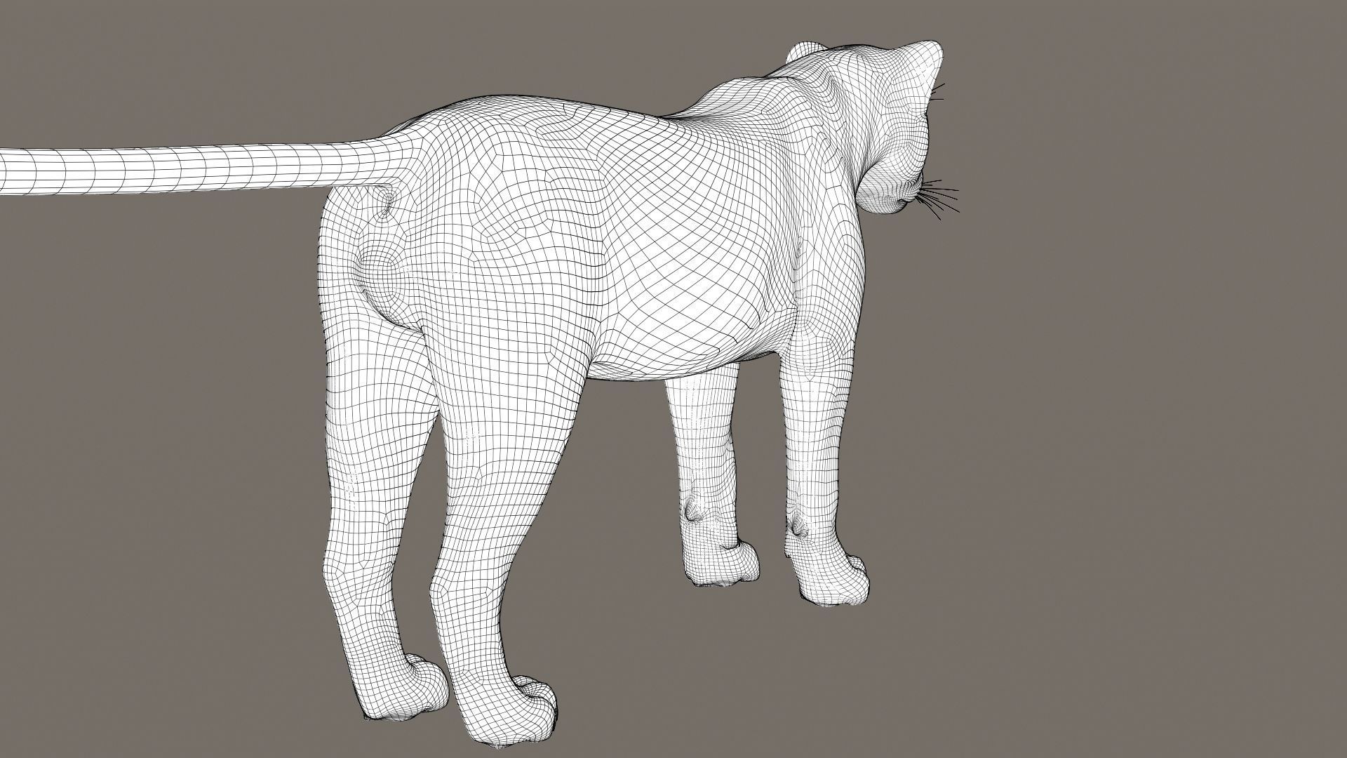 Leopard Fur model 3D model_17