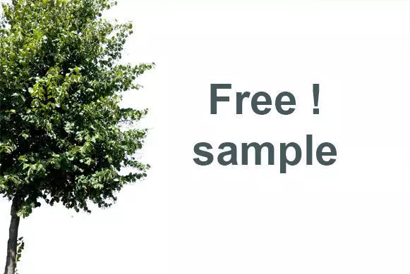 Free sample from my 46 Cutout Foreground - Fill Trees Collection Texture