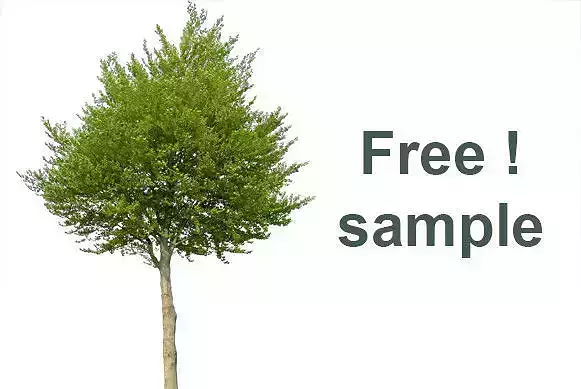 Free sample from my 83 Cutout Trees Collection