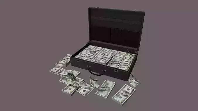 Suitcase with money