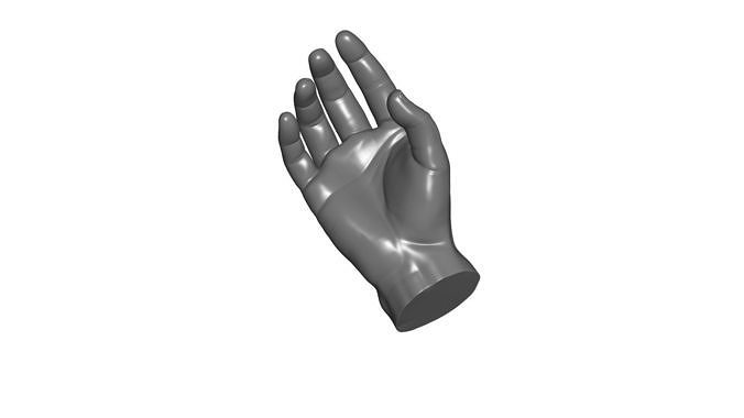 Human Hand 3d model Free 3D model