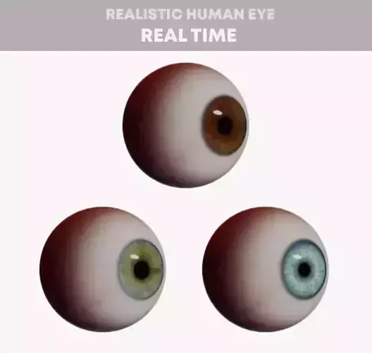 Realistic Human Eye