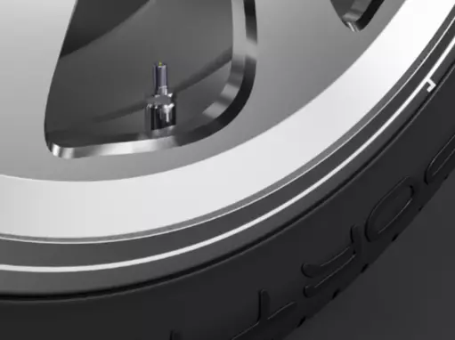 car-weel-32530-r21-dunlop-sport-maxxjoboline tire with screw Low-poly 3D model