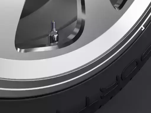 car-weel-32530-r21-dunlop-sport-maxxjoboline tire with screw Low-poly 3D model