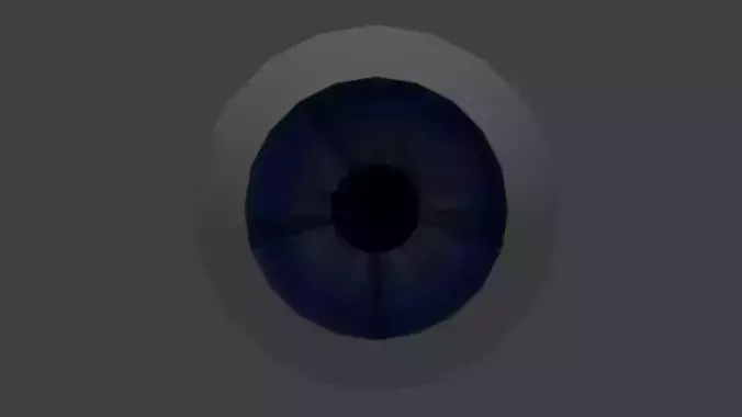 Realistic human eye  3D model