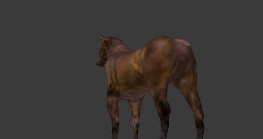 Horse Textured 3d Model 3D model_4