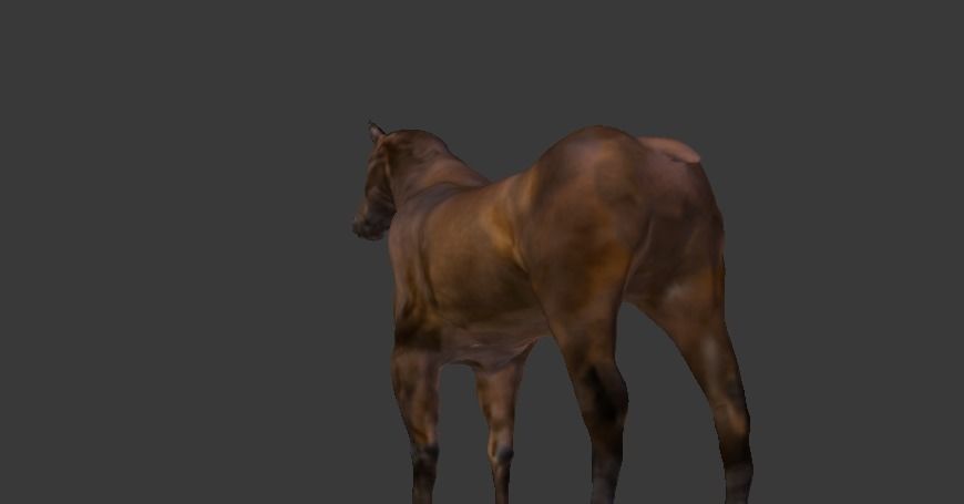 Horse Textured 3d Model 3D model_3