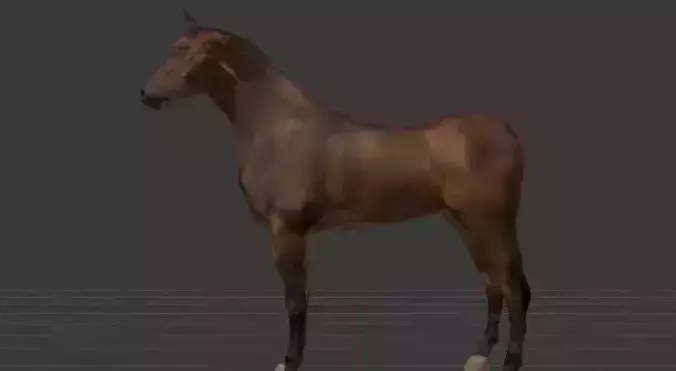 Horse Textured 3d Model