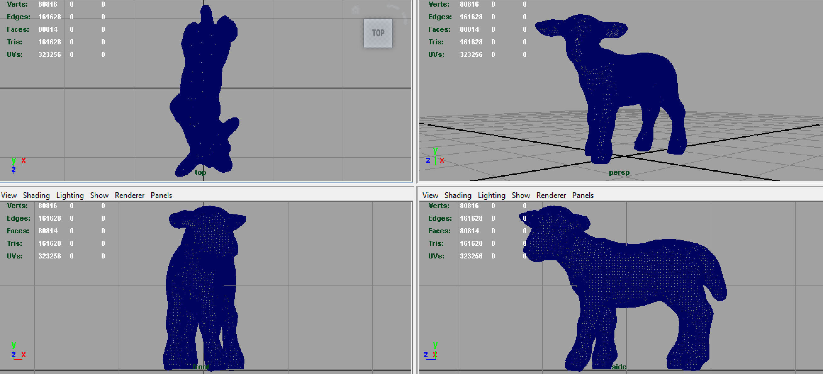 SHEEP lamb 3D model_5