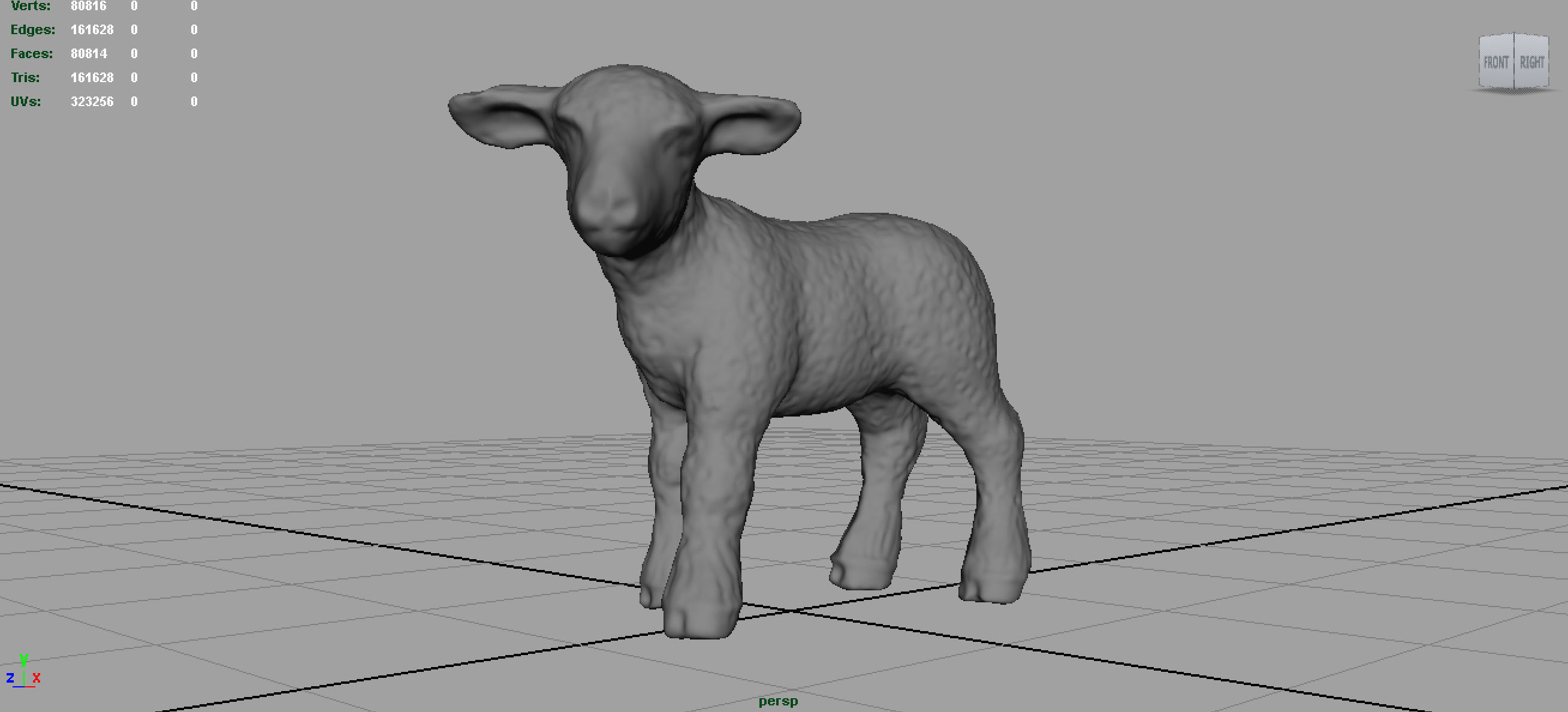 SHEEP lamb 3D model_3