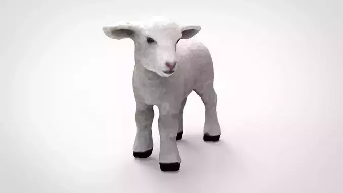 SHEEP lamb 3D model