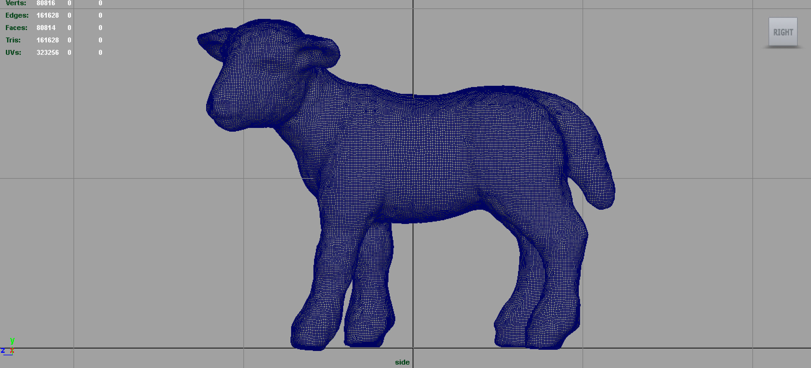 SHEEP lamb 3D model_7