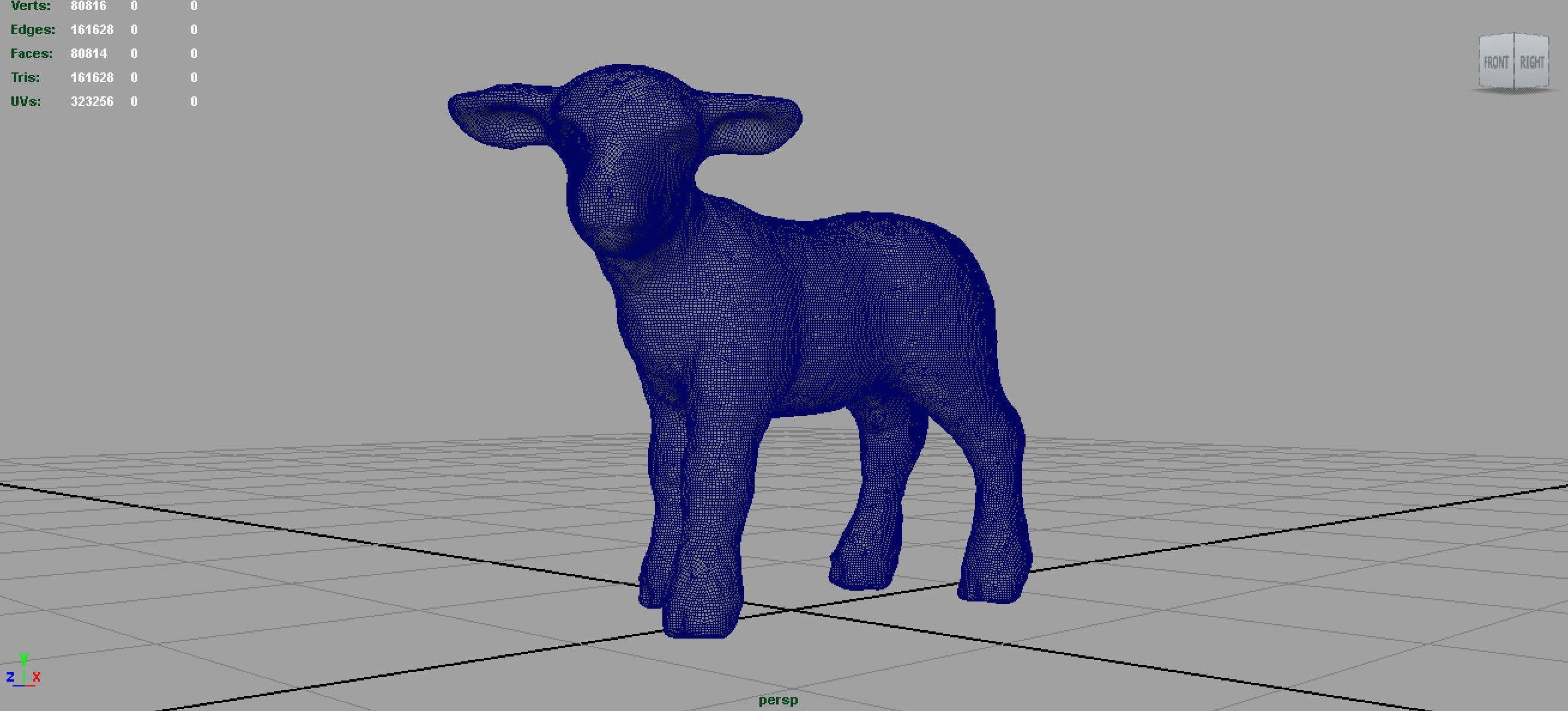 SHEEP lamb 3D model_4