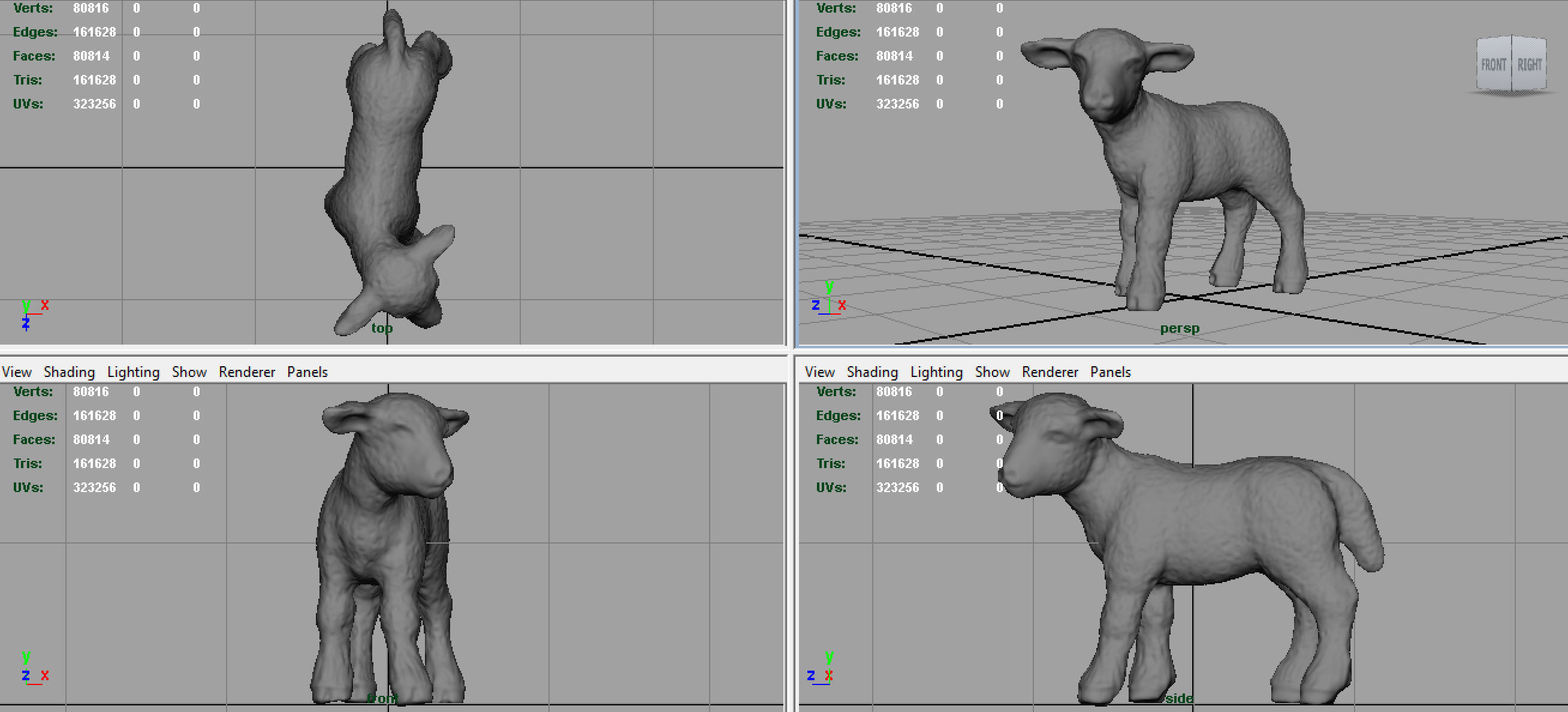 SHEEP lamb 3D model_6