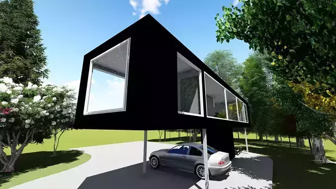 Modern house