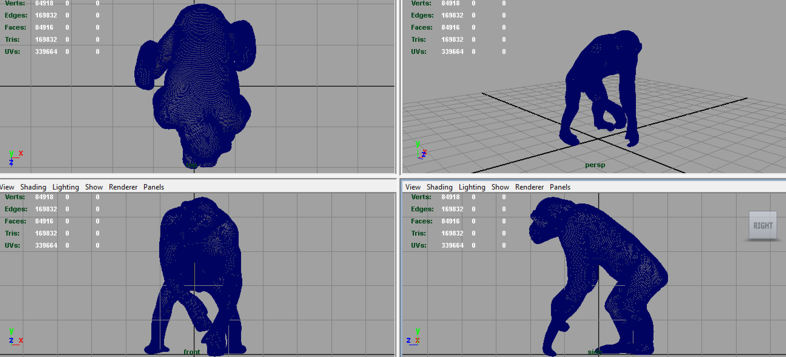 CHIMPANZEE 3D model_7