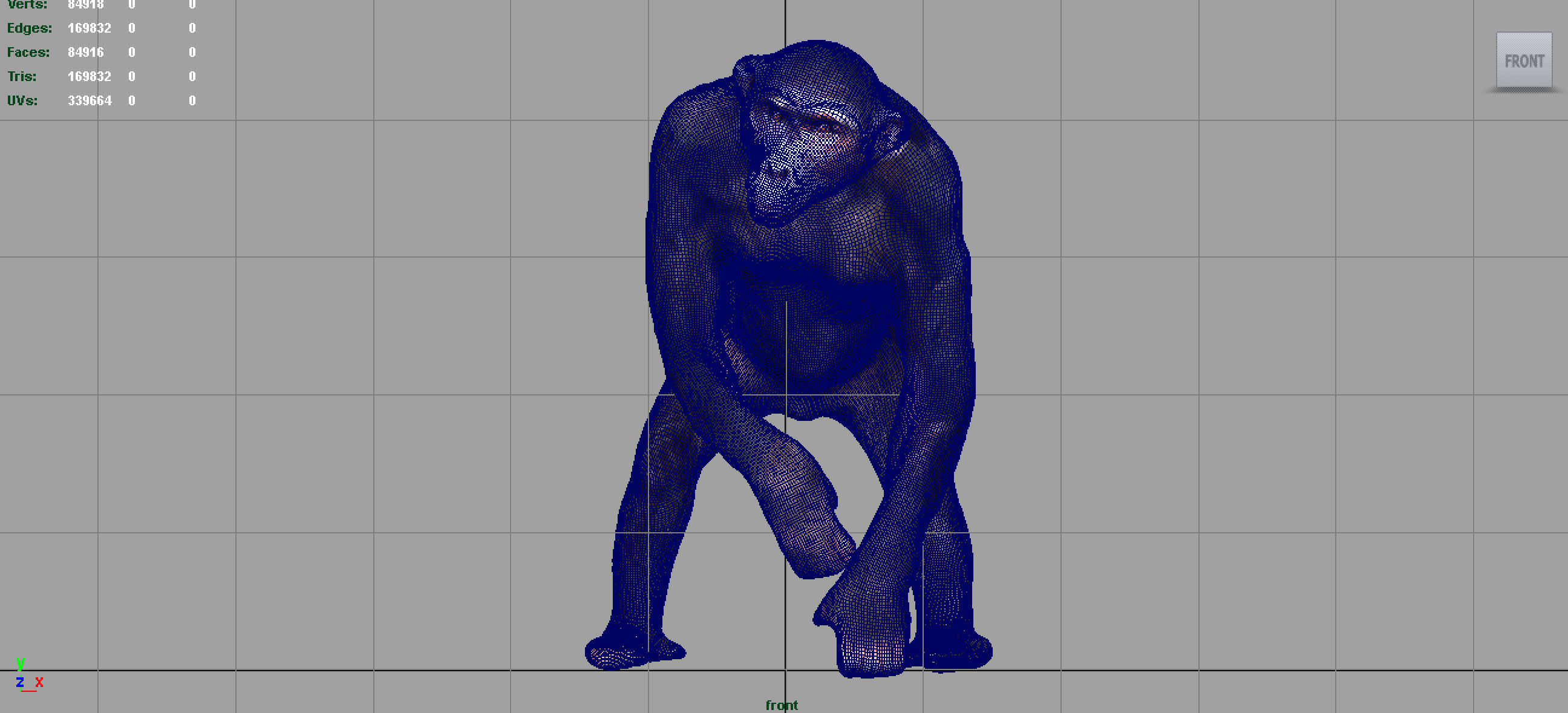 CHIMPANZEE 3D model_9