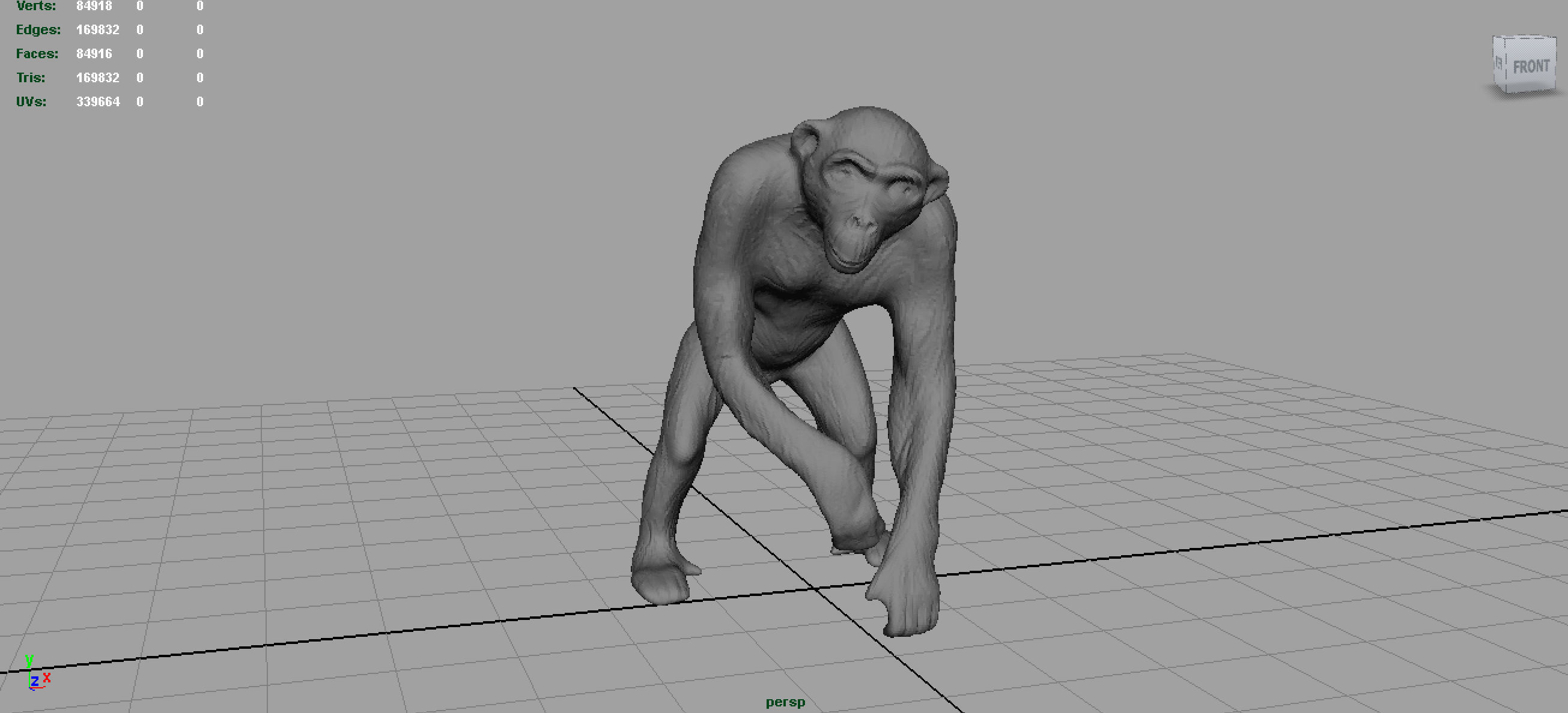 CHIMPANZEE 3D model_3