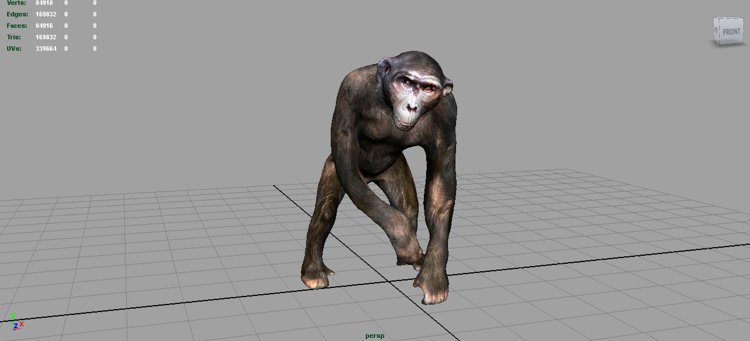 CHIMPANZEE 3D model_2