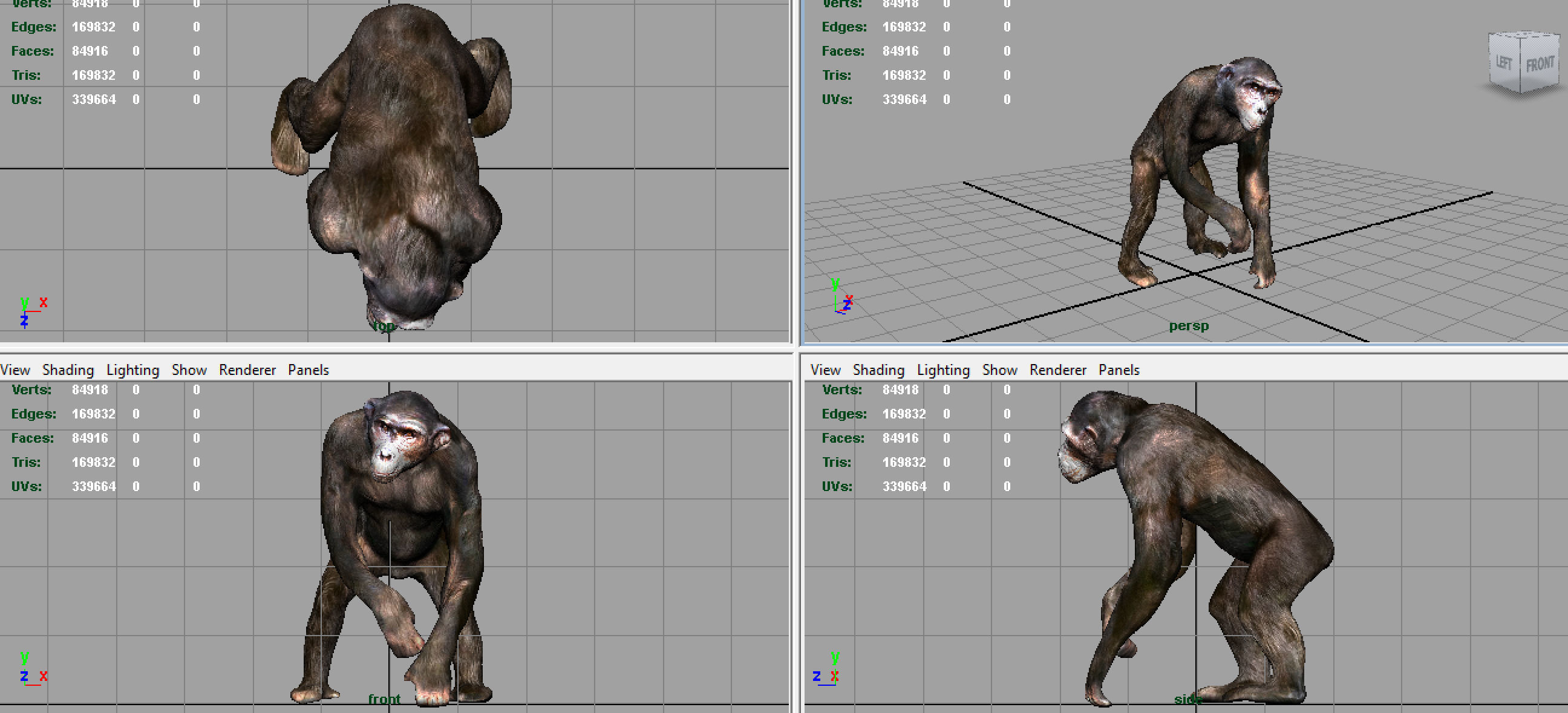 CHIMPANZEE 3D model_5