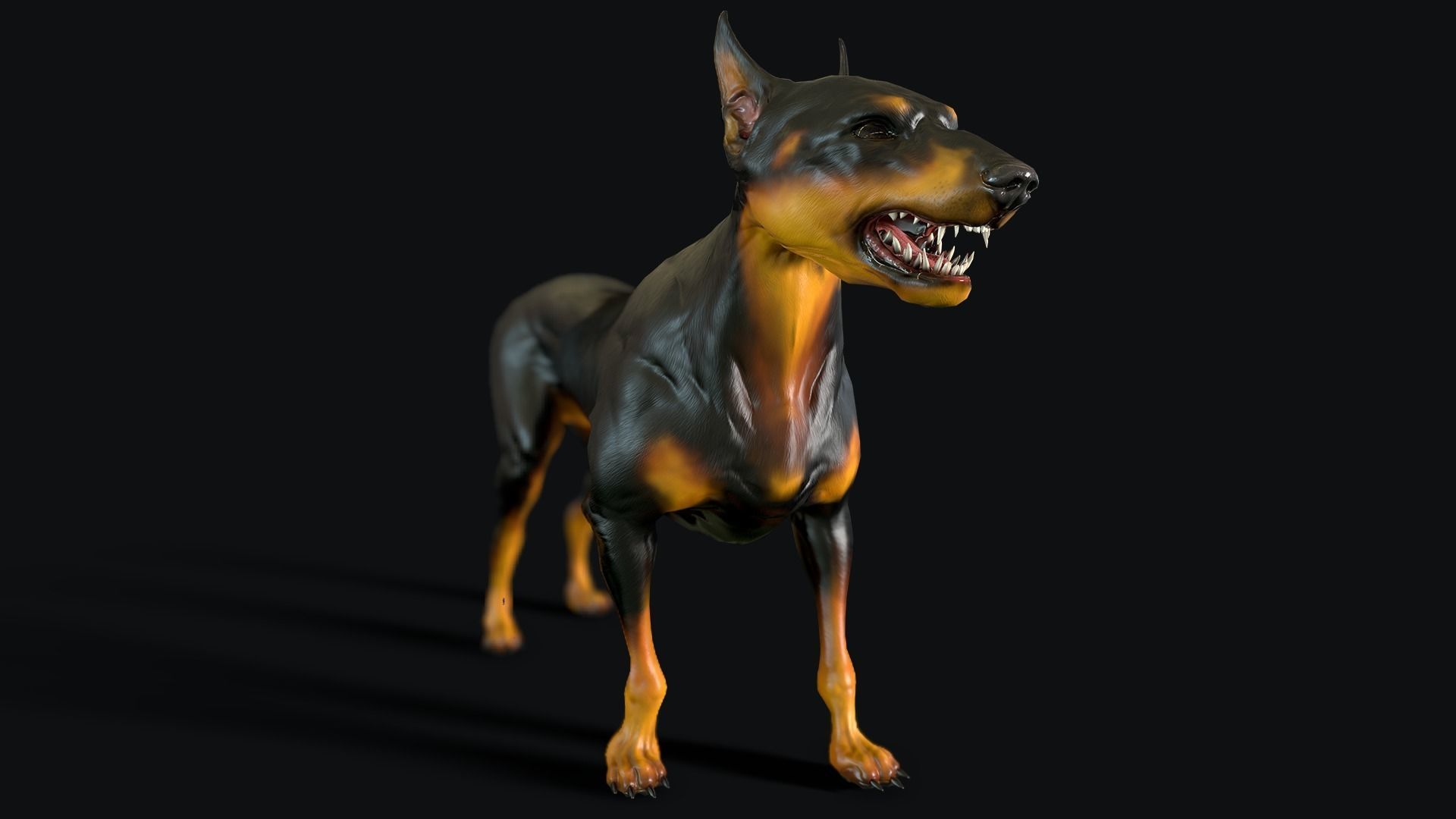 Combat Dog Low-poly 3D model_5