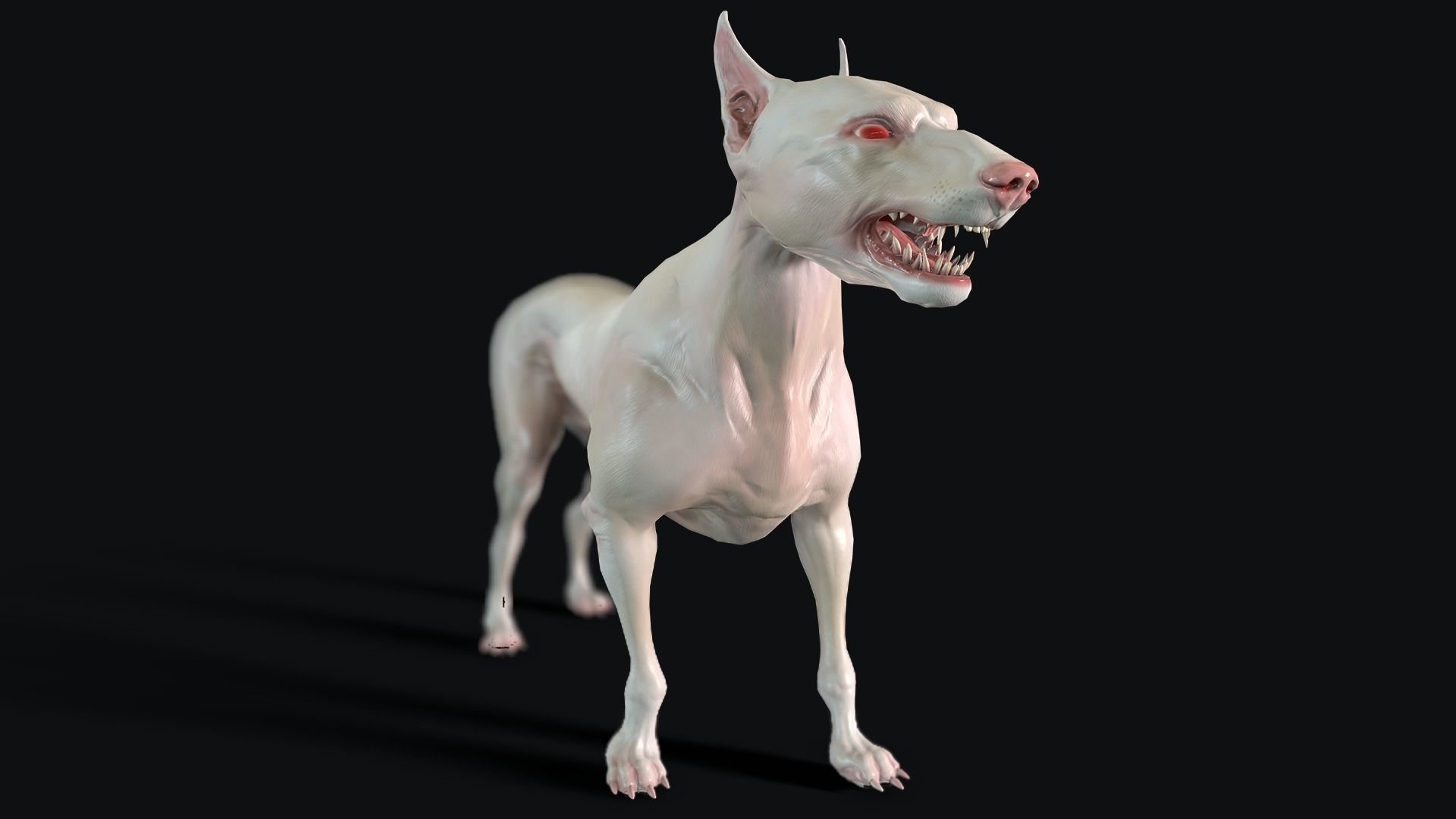 Combat Dog Low-poly 3D model_7