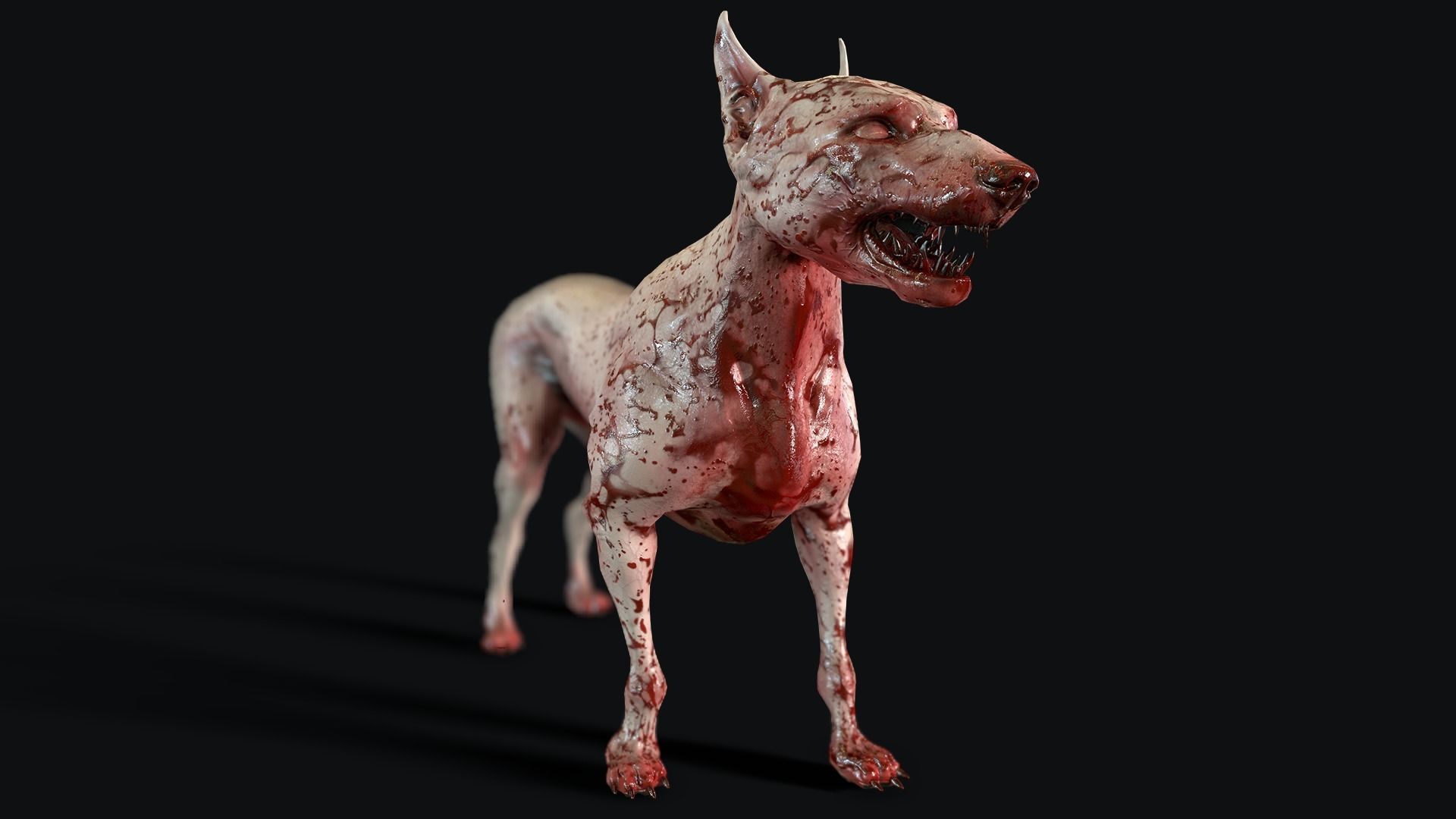 Combat Dog Low-poly 3D model_9