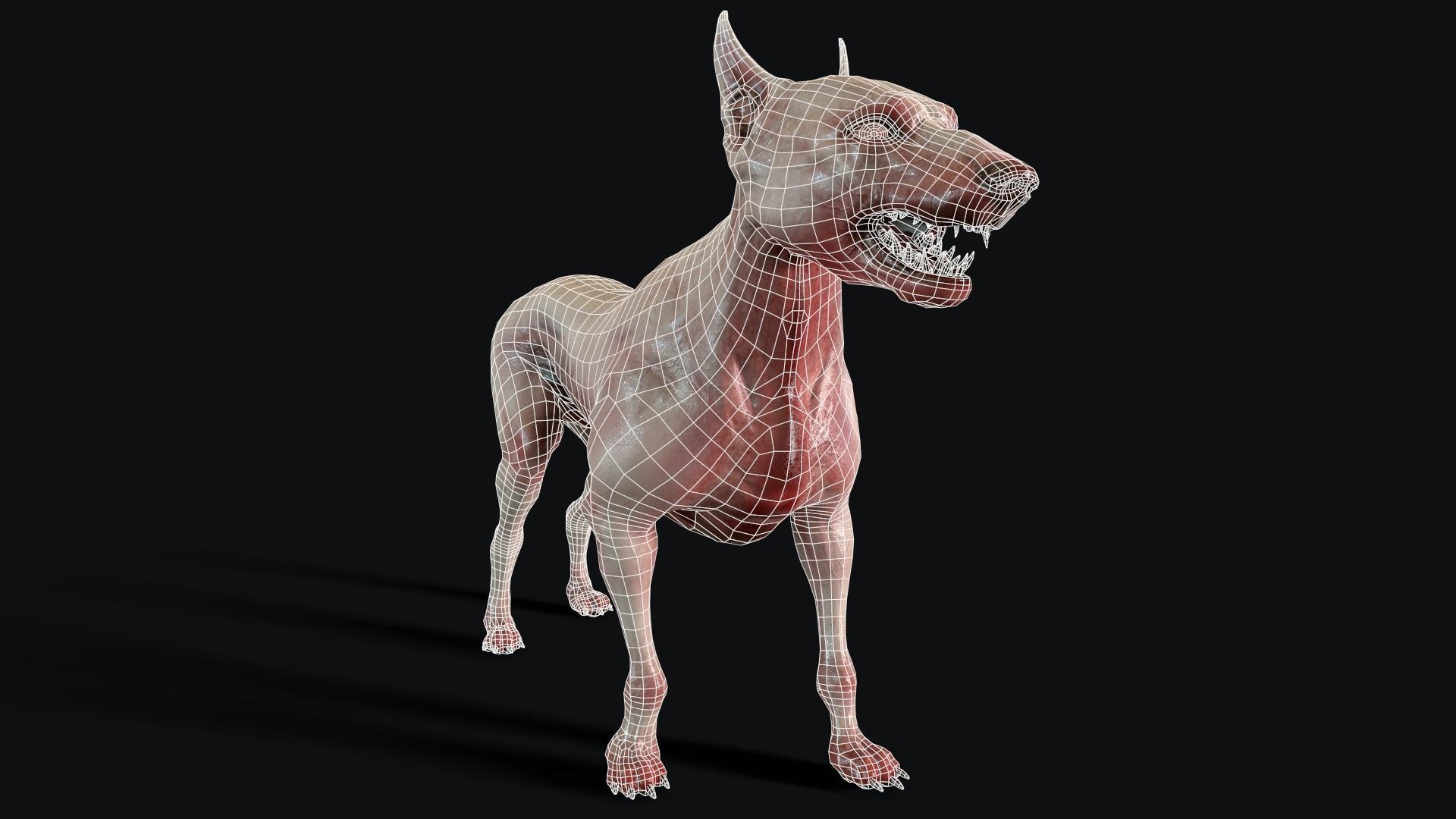 Combat Dog Low-poly 3D model_10