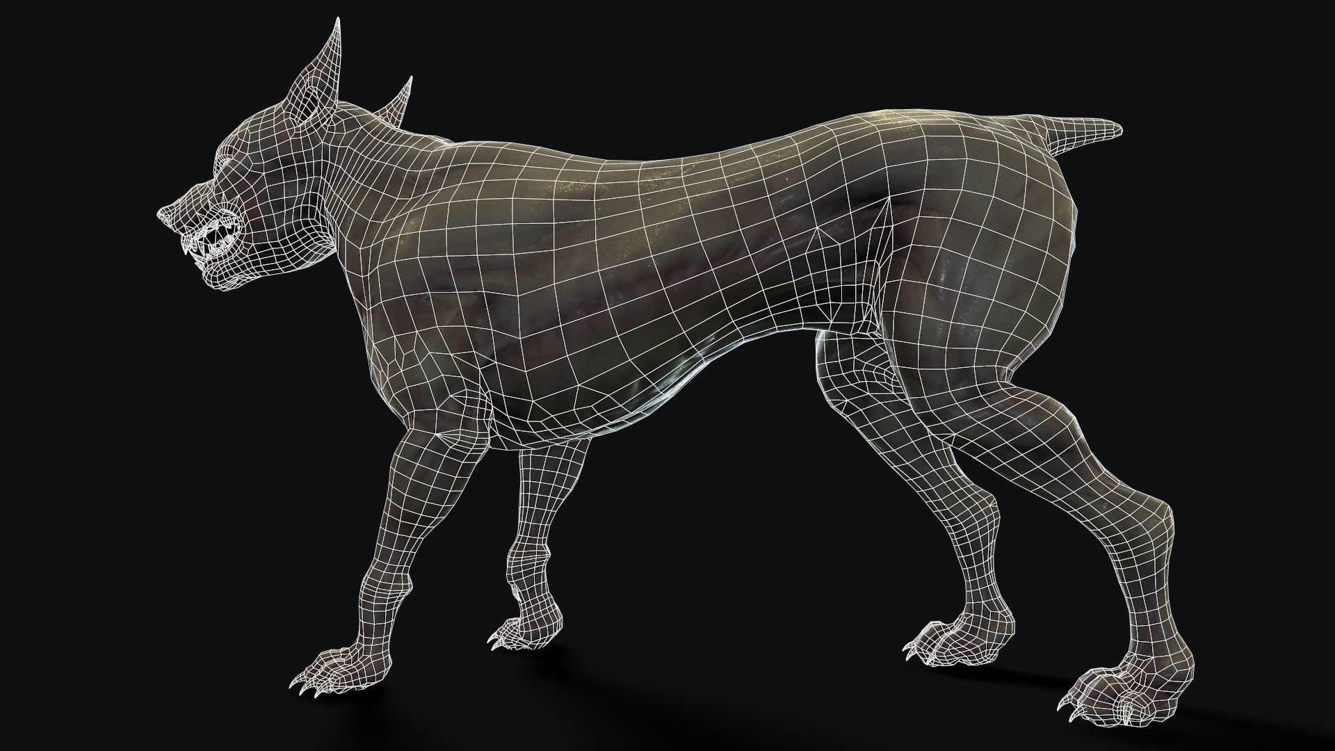 Mutant Dog Low-poly 3D model_12