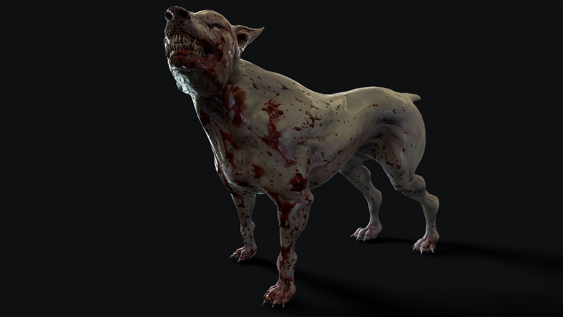 Mutant Dog Low-poly 3D model_7