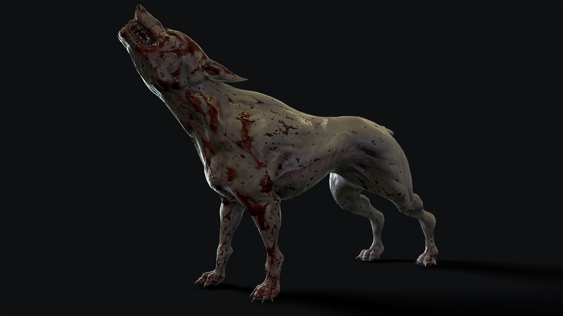 Mutant Dog Low-poly 3D model_9