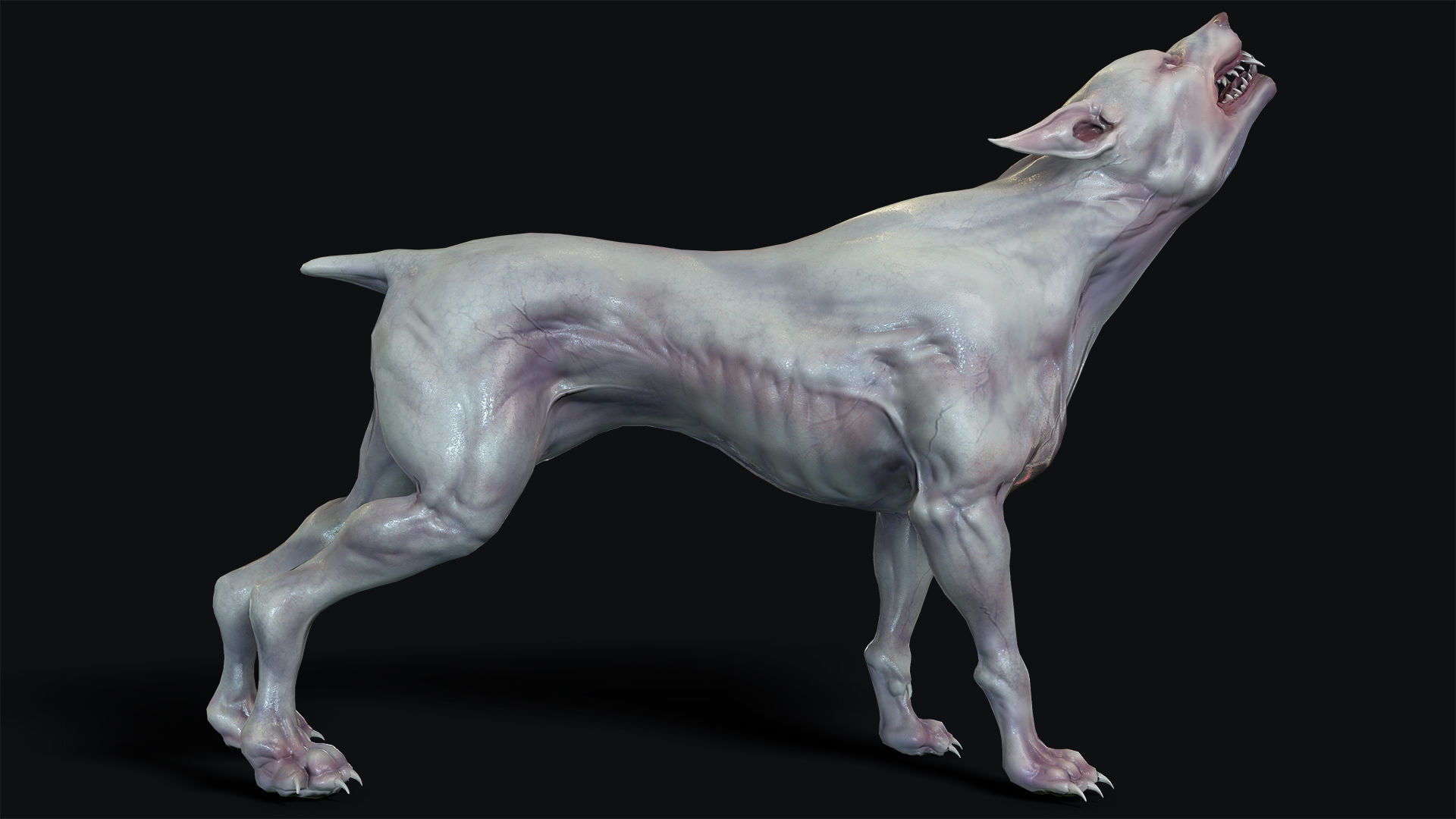 Mutant Dog Low-poly 3D model_6