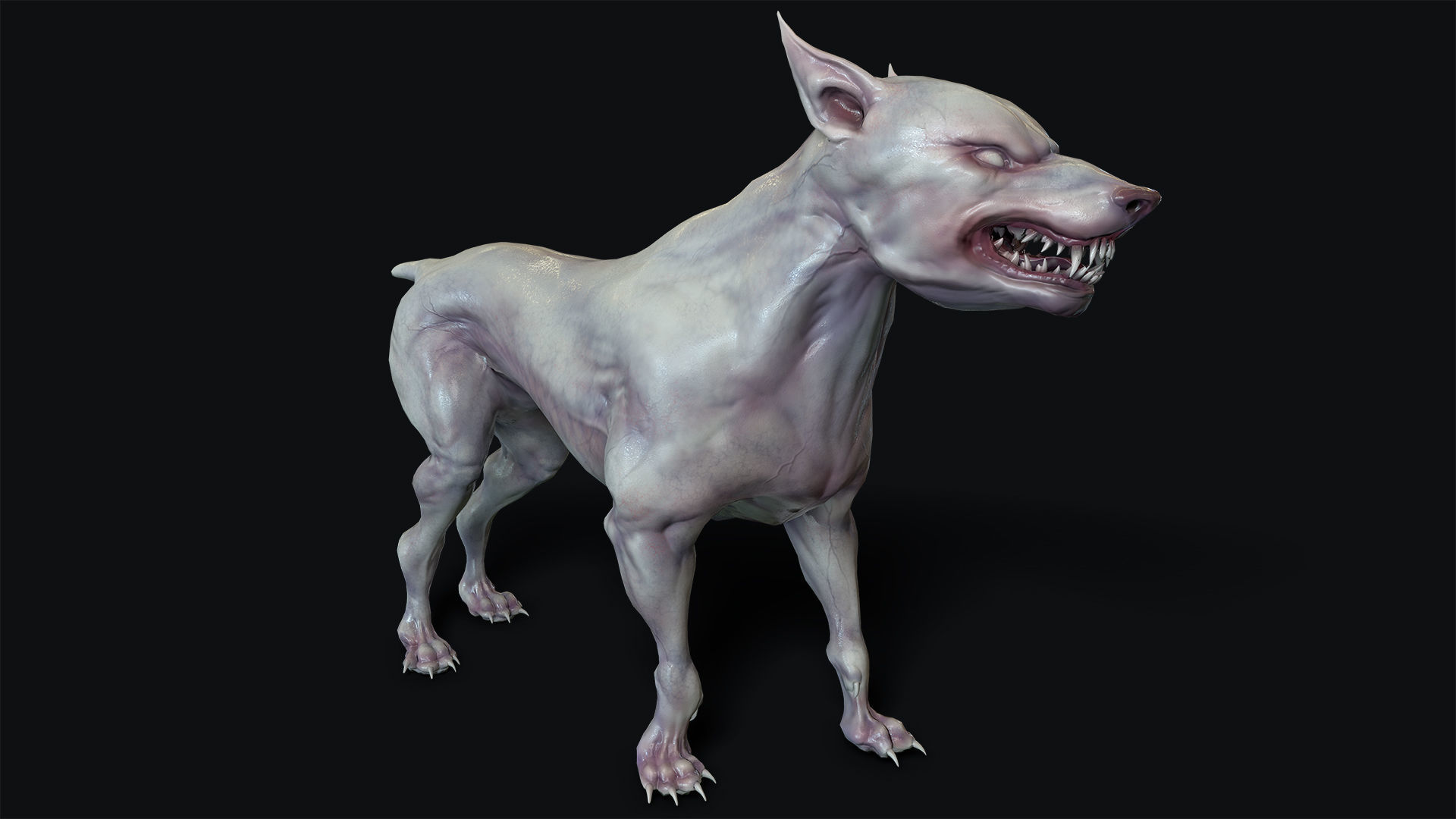 Mutant Dog Low-poly 3D model_4